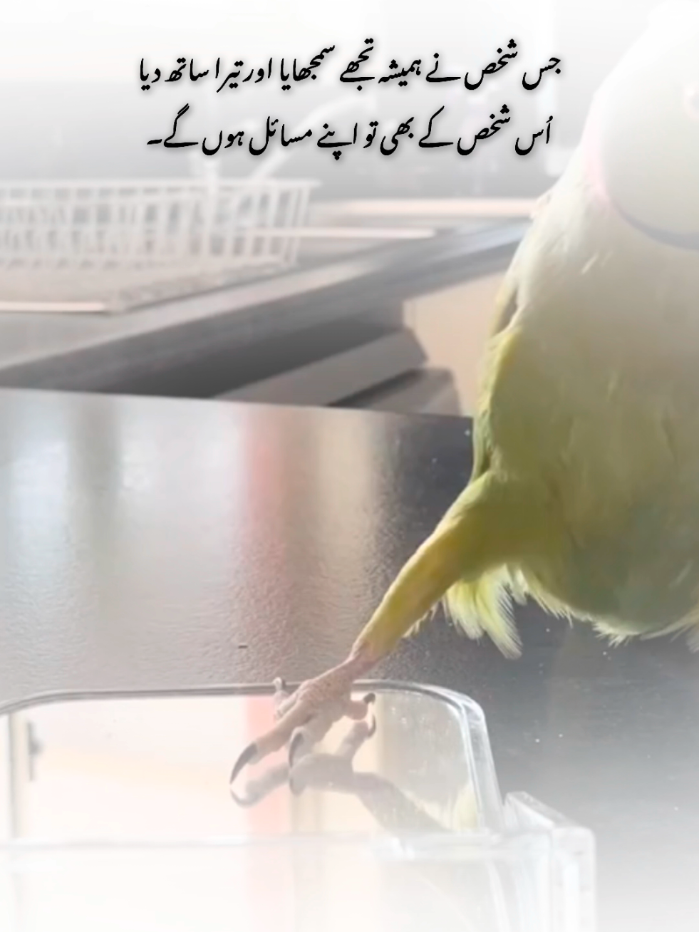 ❤️‍🩹🥹#foryou #flypシ #1millionaudition #poetry #myousaf 