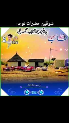 #طالب_دے_شوقین_حضرات_دوڑے_تے_توجو #بابا_طالب_حسین_درد🥀💘❤️💝💔 #جوگ_دا_شہنشاہ❤✨ #پرانی_یادیں🖤🥀 #king_of_Gog 