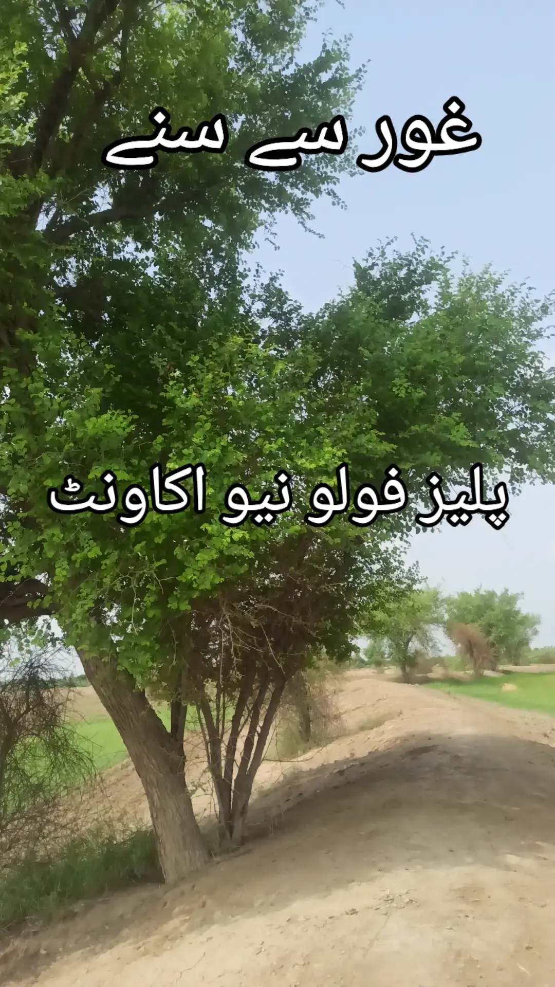 #سنگت_ویڈیو_وائرل_کریسو_آپ_ہیں🥀🌼🙈✨🎇 #سنگت_ویڈیو_وائرل_کریسو_آپ_ہیں🥀🌼🙈✨🎇 #2025tiktok 