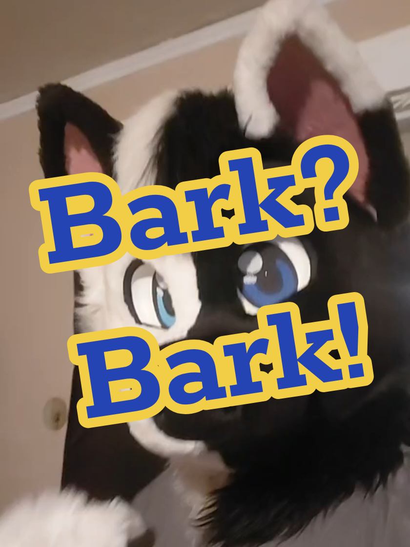 too much thinking. not enough barking!