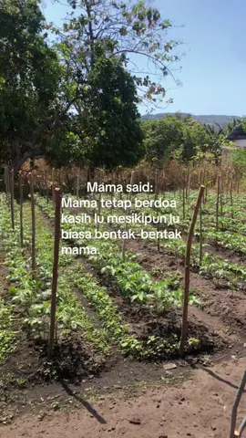 🤍🤍🤍#mom🤍✨ #nttpride🏝🔥 #mamasayang💯 