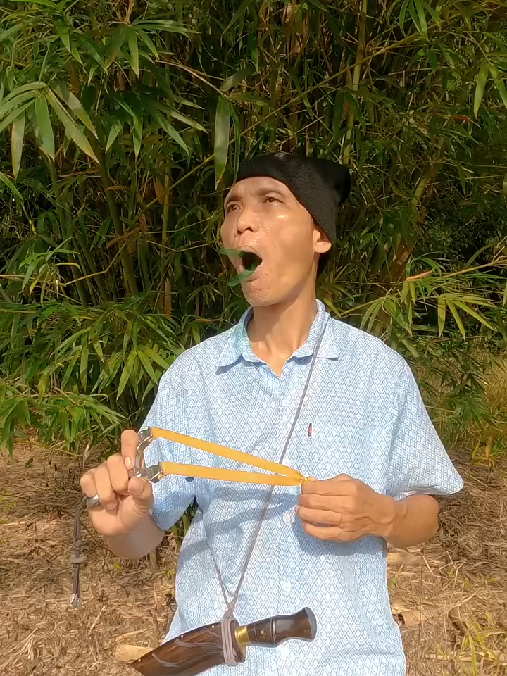 How to Use Bird Calls for Survival and Shelter #entertainment #birdsounds #shorts #camping #survival - Nguyễn Điền Trung