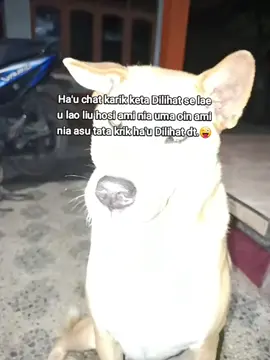 #fypppp  #lewatberanda  #anjinnnnnrabies