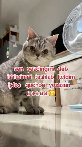 #😼 #р🖤е🖤к🖤о🖤м🖤е🖤н🖤д🖤а🖤ц🖤и🖤и #🔝🔝🔝💯💯💯 #⚔️р⚔️е⚔️к⚔️о⚔️м⚔️е⚔️н⚔️д⚔️а⚔️ц⚔️и⚔️и⚔️ 