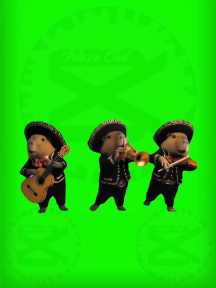 🔰PLANTILLA🔰
 🌟Mariachis Capibara🌟
 #Meme #pantallaverde #capibara  #septiembre #wazacut
