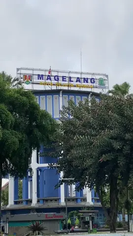 Aku jatuh hati pada bunga yang tak pernah bisa kupetik—ia indah, tapi bukan untukku. Setahun menunggu, tabebuya mekar juga. Tapi hati ini sadar, tak semua yang dinanti akan benar-benar jadi milik kita~ #wisatamagelang #magelang24jam #tabebuya #bungatabebuya #japanvanmagelang