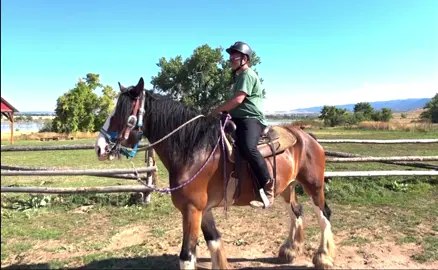 #clydesdale #ClydesdaleRiding #DraftHorseRiding #BigHorses  