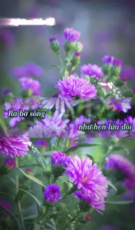 Lý con sáo gò công-Lý lu là #karaoke #xuhuongtiktok #cổnhachaymoingay #cacdieulynambo #duet 