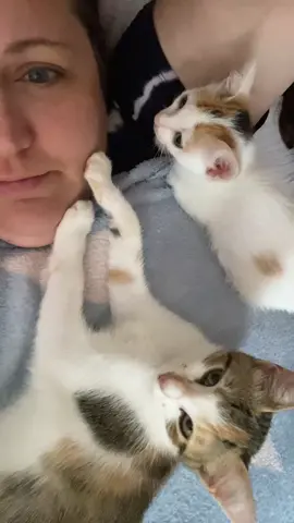 POV no such thing as alone time#kittensoftiktok 