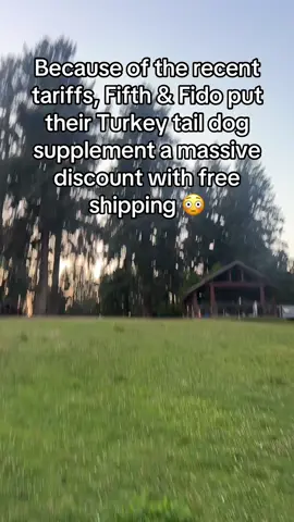 Super steal of a deal rn! 