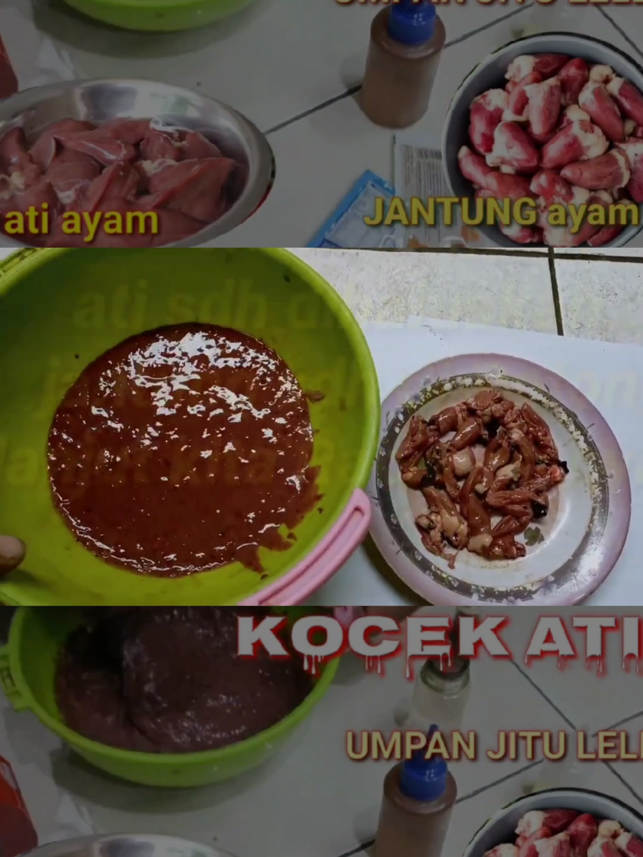 Racikan umpan mancing Galatama lele media ati ayam kocek #galatamalele #mancing #umpanmancing 