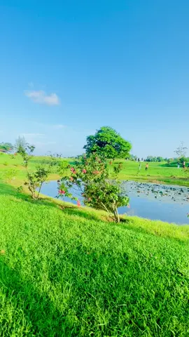 #এটা_কোথায়_কে_বলতে_পারবেন?? #fyp #fouryou #bangladesh🇧🇩 #fouryou #fyp #fouryou @For You  @ Shakil Ahmed  