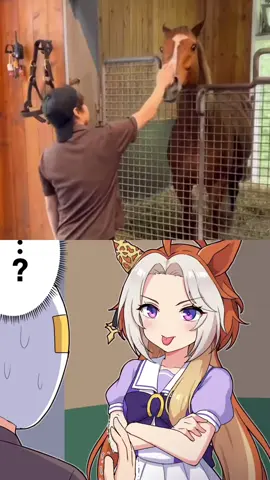 Orfevre getting his tongue played by Kenichi Ikezoe, famous Japanese jockey! Footage sourced from @kenchan.0723 (instagram) art from @Takiki2828kr (X) #umamusumeprettyderby #umamusume #orfevre #kenchan #horse 