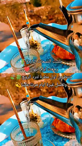 #الشعب_الصيني_ماله_حل #صباح_الخير#متة_على_رواق#روقان#ادلبية_وعيني_قوية #متة_تايم #يسعدلي_صباحكن #رفعوني_اكسبلور#جاري_الرواق#ترند_جديد#مجرد #صباح_الخير 