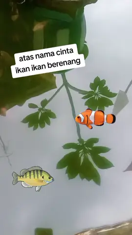 #fyppppppppppppppppppppppp 