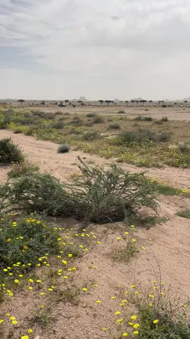 #اكسبلووووورررر 