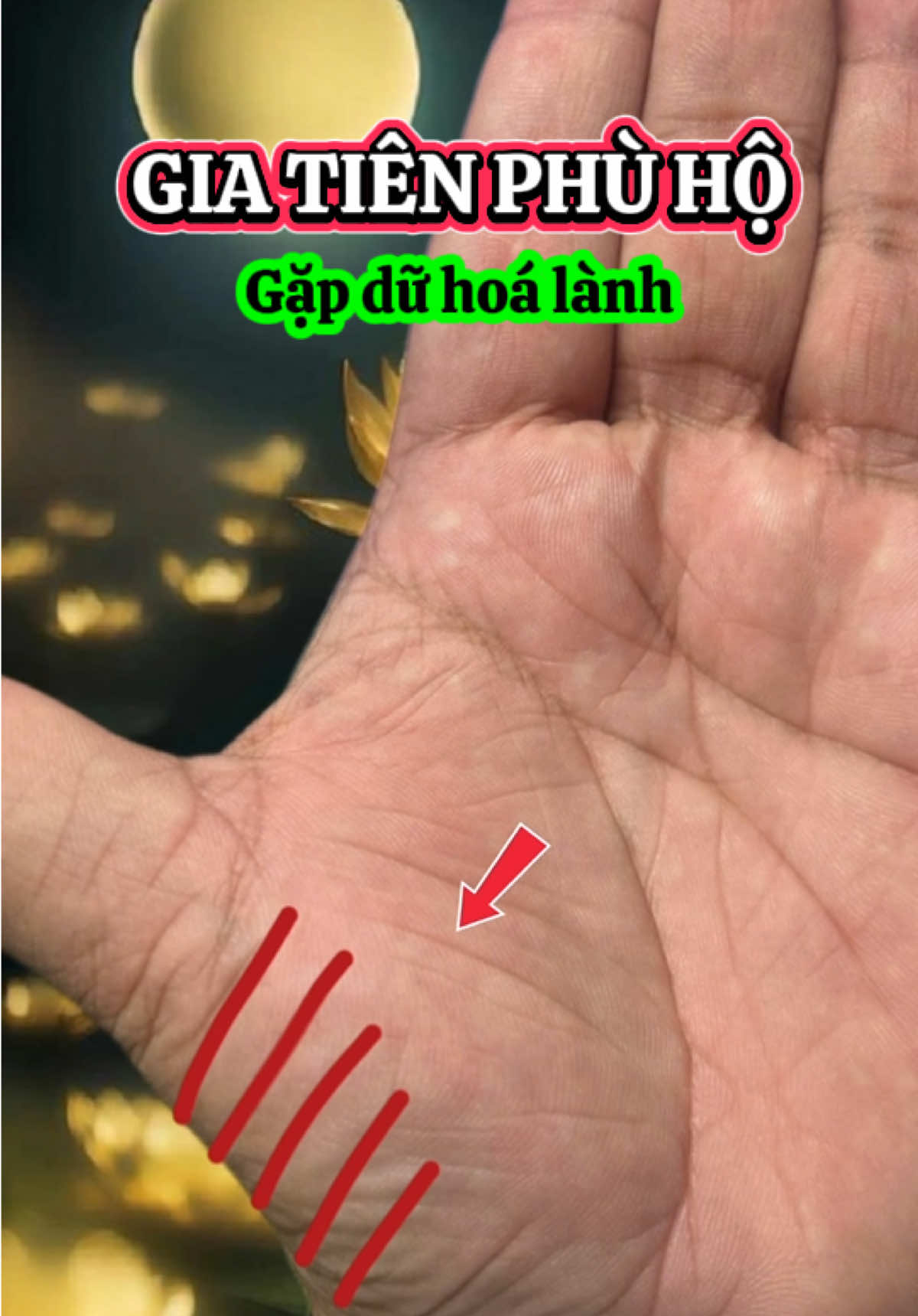 Gia tiên phù hộ - Gặp dữ hoá lành #vậnmệnhradio #LearnOnTikTok #xemchitay #xemchitayonline #xemboi 