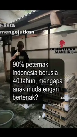 #CapCut #bismillahfyp #peternakmuda #ayampetelur #bisnis 