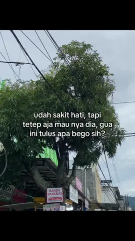 #galaubrutal 