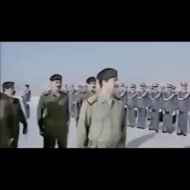 تصميم صدام حسين 