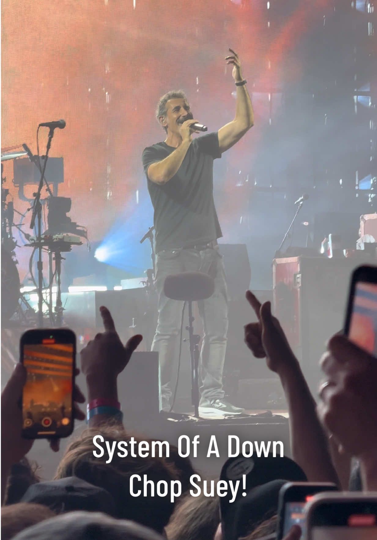 System Of A Down – Chop Suey!, live 2025 at Soldier Field, Chicago, IL, USA #systemofadown #soad #soad2025 #usa #chicago 