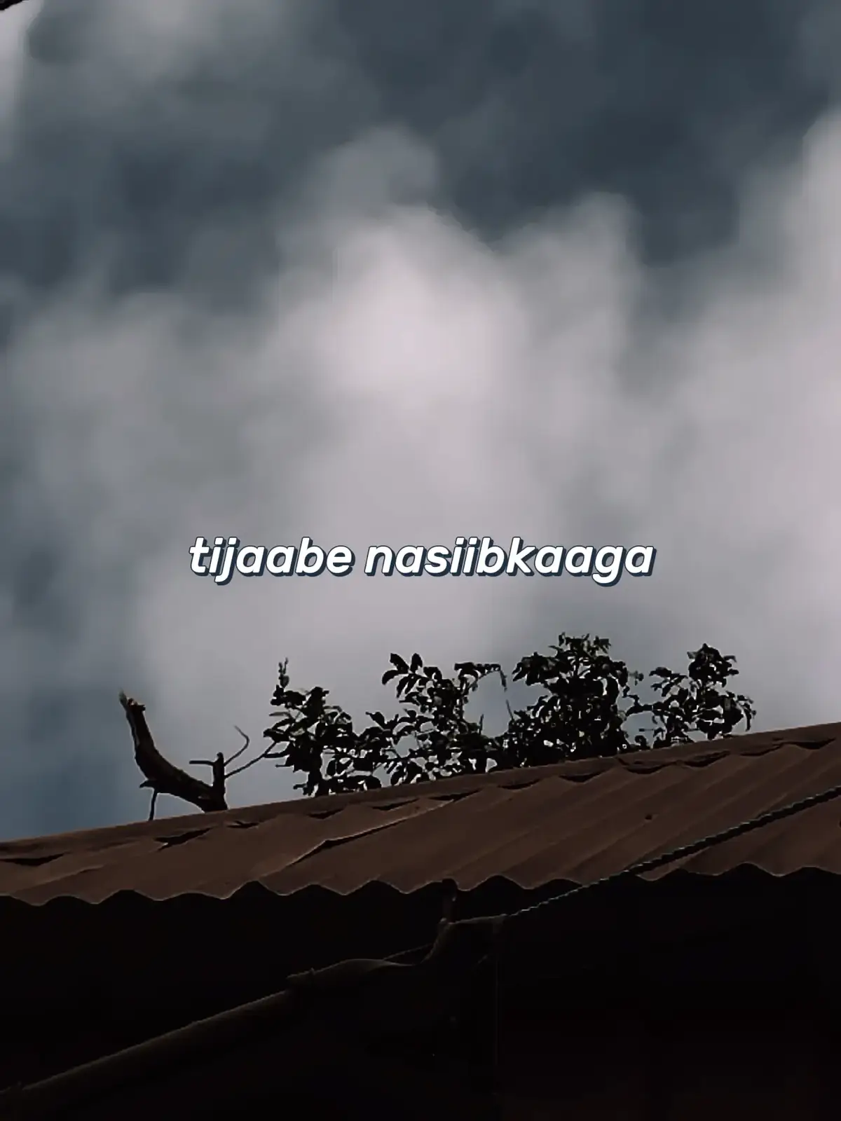 jawaabta sooqor