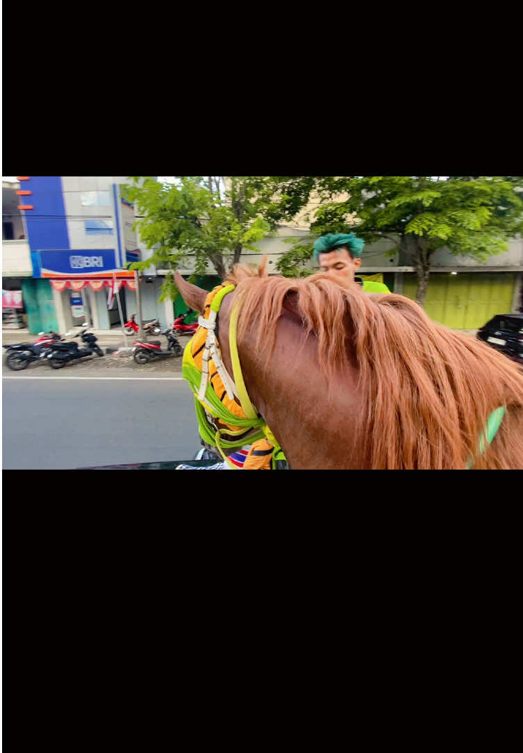 go to home.   #arakarakan #kudajingkrak #fy #xyzbcafypシ 