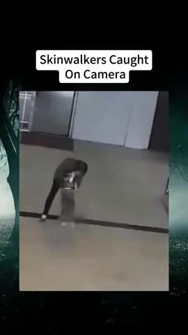#mystery #skinwalker #fypシ #usa 