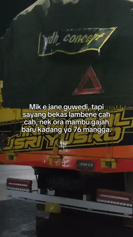 Tapi sayang 🥲 #drivermuda #storytruck #truckstory 