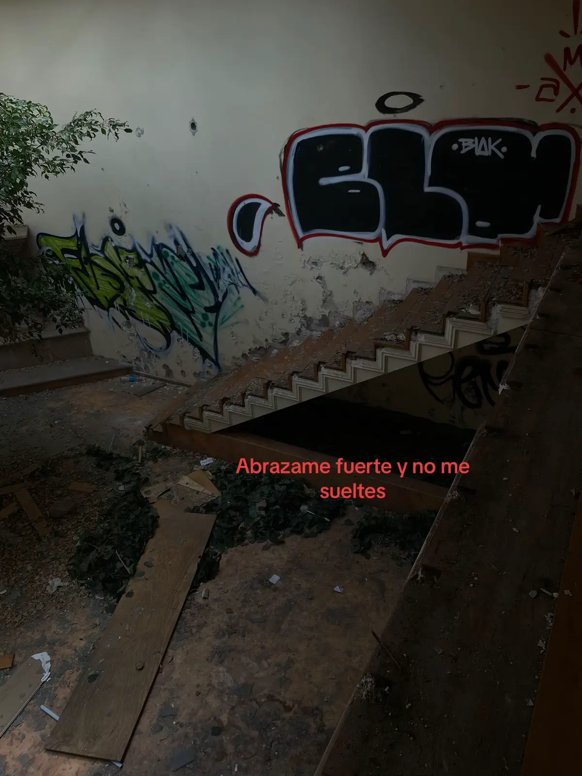 #fyp #suciaelegancia #underground #textorojo 