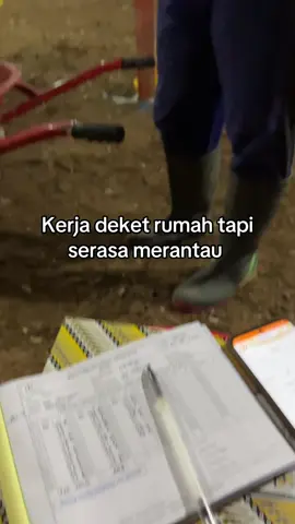 Pulang sebulan sekali cuma 1 hari #rembow_ #peternakmuda #kandangclosehouse #ayambroiler #japfacompeedindonesia 