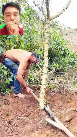  #kumpulanvidioartisviral#videolucu #ketawangakak #lucu #funny                                