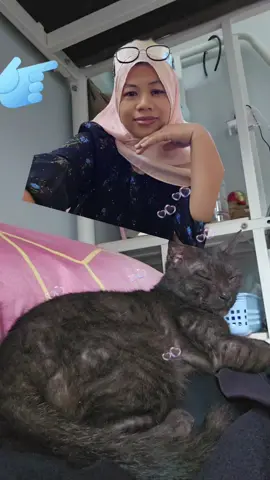 #fyppppppp jangan download hatiku pemula 