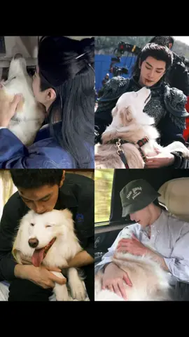 Chúc mừng sinh nhật tiểu AZan 🐶  #陈哲远 #trantrietvien #chenzheyuan陈哲远 #chenzheyuan #xuhuong #viral #tiktok #yfp #azan 