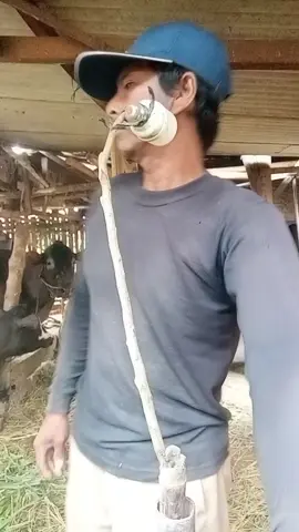 mimpi yang hilang