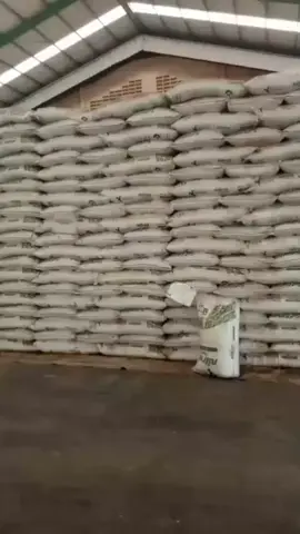 STOK Pupuk Urea Nitrea Redy 250 ton Harga bersahabat #ptbhdsahabatparapetani #tiktok #pyfツ #fyf #fyppppppppppppppppppppppp 