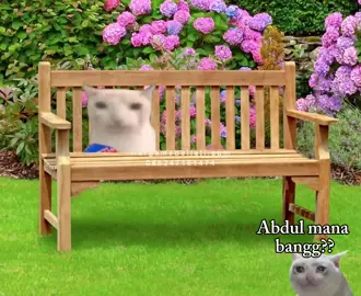 Abdul kemana lo Abdul 😂 #memekucing #memes #memeviral #memekucinglucu #memebikinngakak 
