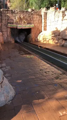 📌 SUN CITY 1-DAY TRIP 2025 🇿🇦 💸 Prices P800 per Adult | P750 per Child (P400 non-refundable deposit) 📅 Dates 6 • 13 • 20 September 2025 🎉 Package Includes ✅ Return transport (Gaborone – Sun City – Gaborone) ✅ Sun City Resort entrance fees ✅ Full Valley of Waves access (FREE rides): Lazy River, Scorpion, Tarantula, Slide Hill, Noble’s Descent, Ovango, Temple of Courage, Mamba & Viper tube slides ✅ R80 Meal Voucher ✅ Cooler box on board 💳 Optional Activities (Own Account – subject to change) 🚤 Boat Cruise – R102 (30 min) 🛥️ Speed Boat – R899 per group of 7 🏍️ Jet Ski – R899 pp 🚣 Bumper Boat – R100 🛶 Tube Ride – R299 🪂 Parasailing – R1499 🏰 Maze of the Lost City – R120 🚨 Limited Seats – Book Early! 📲 Bookings & Enquiries +267 71 329 272 | +267 75 254 448 ✨ Stress-free • Fun-packed • Affordable ✨ #SUNCITY #travel #fun #fyp #travel 