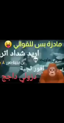 بدأت امك دزه للقوالي 🥰#مطايه_كونيه #تيم_عباس_الكوني😏😏😏 #تيم_سالي_ليون🥶👌🏽 #علاوي_رئيس_عصابة_البزون #شتبوست 