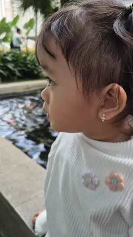seneng yahh liat ikan 