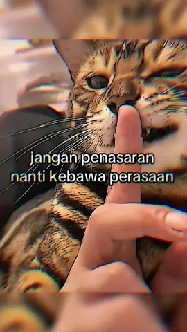 #fyppppppppppppppppppppppp #fyp #kuliaesthetic #bahodopihitst 