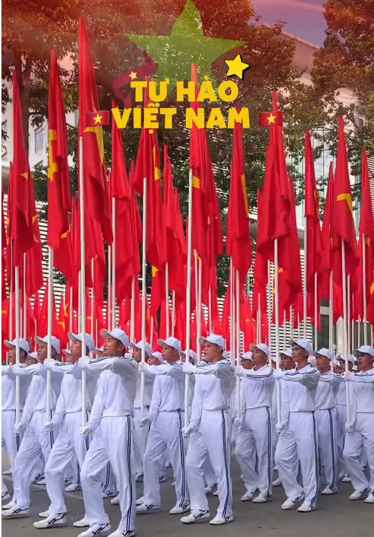 Diễu bình - Diễu hành A80 #lythehuong #LearnOnTikTok #AnCungTiktok #FandomYeuNuoc #TuHaoVietNam 