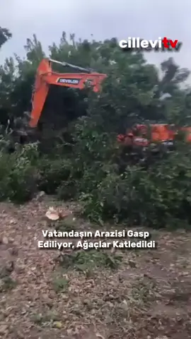 Hatay Samandağ’da vatandaşların tapulu arazilerine hükümetin el koyma girişimleri sürüyor. Sabah saatlerinde tapulu alanlarda bulunan ağaçlar iş makineleriyle katledildi. Vatandaşlar, “Mülkiyet hakkımız gasp ediliyor” diyerek tepkilerini dile getirdi.
