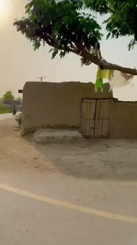 Peaceful village vibes ✨❤ #viral #foryou #villagelife #foryoupageofficial #tiktok 