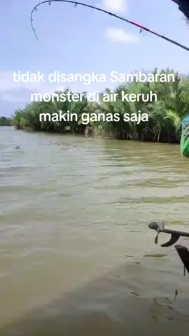 monster baramundi menyambar tanpa aba aba bikin semua angler panik#mancingliar #fishingindonesia #fyp #mancingkakapcilacapbarat #mancingkakapputih #spotmancingcilacap #baramundimonster #mancingmocel #mancingkakap 