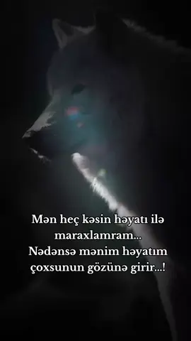 keşfet