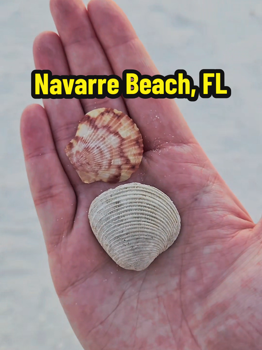 If they are flying a red flag on the gulf side and you want to swim, go to the sound side! The water isn't emerald, but it's shallow, calm, and quiet. #navarrebeach #florida #gulfofmexico #floridabeaches #travelinspo 