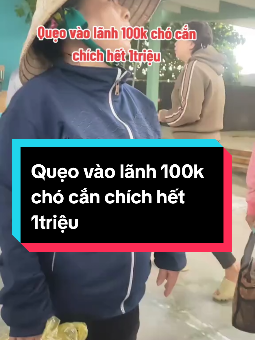 Quẹo vào lãnh 100k chó cắn chích hết 1triệu#giảitrí #gocthugian #xuhuongtiktok #xuhuong 