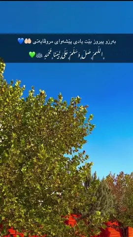 بەرزو پیروز بێت یادی پێشەوای مروڤایەتی 🤲🏻💙 ﷺ#fypシ #سلاوات_لە_سەر_گیان_پێغمبەر_د_خ🤲📿 