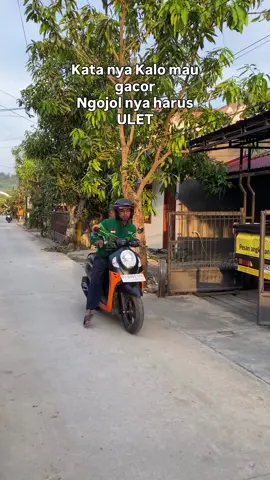 Udh ulet gak @ok, po  #ojol #ojoltiktok #fyp #tiktoksamarinda #viraltiktok 